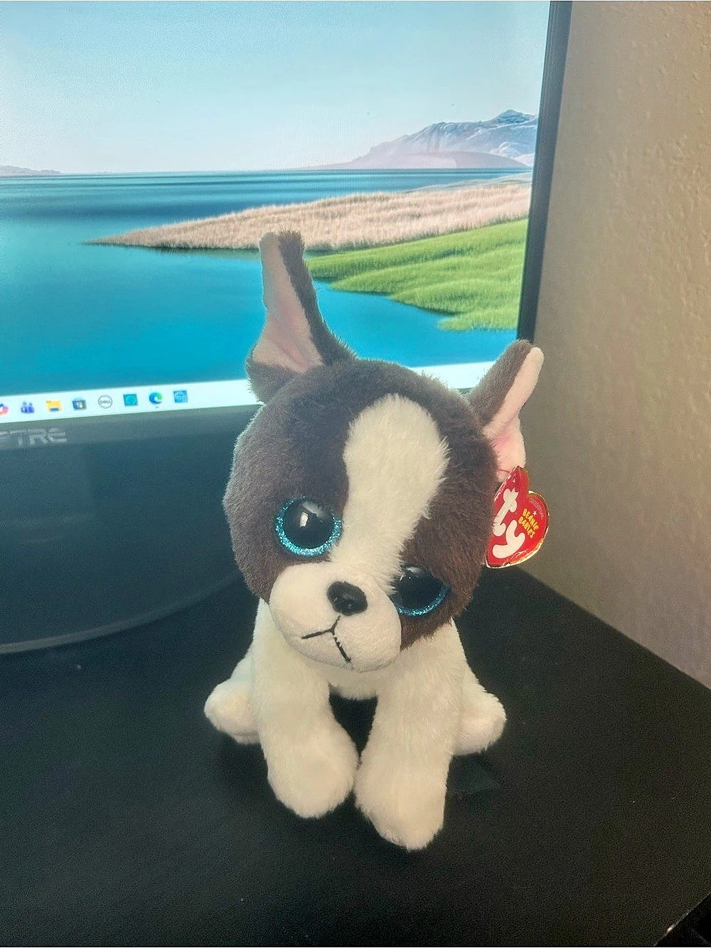 Ty Portia Plush Puppy Brown & White NWT
